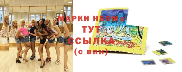 гашик Алексеевка