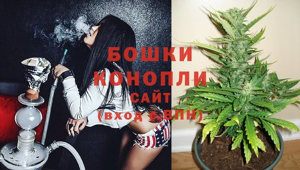 PSILOCYBIN Аркадак