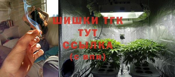 PSILOCYBIN Елизово